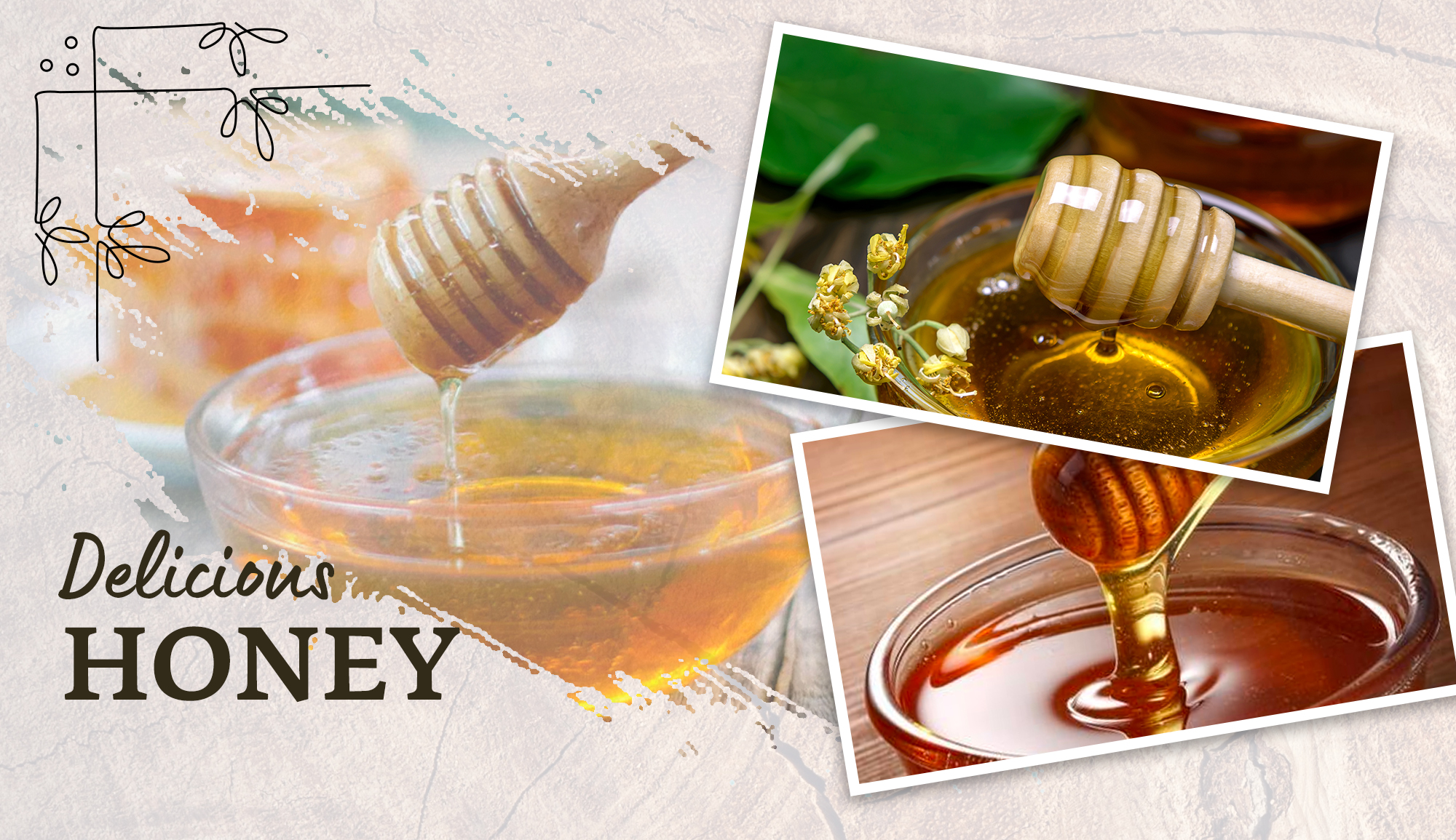 Honey 101: A Beginner's Guide to Choosing the Right Honey for You
